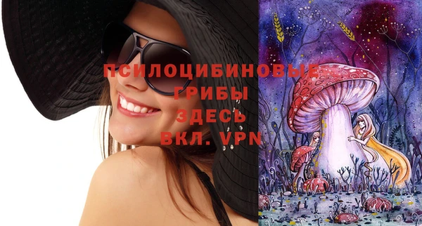 ПСИЛОЦИБИНОВЫЕ ГРИБЫ Россошь