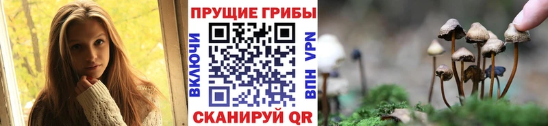 Псилоцибиновые грибы Magic Shrooms  где купить наркотик  мега зеркало  Звенигово 